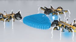 1660252768177 Si1506f3festoants580px 1660252768177 Si1506f3festoants580px