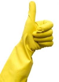 resizedimage200278-SIblog-Brillo-6-12-15 resizedimage200278-SIblog-Brillo-6-12-15