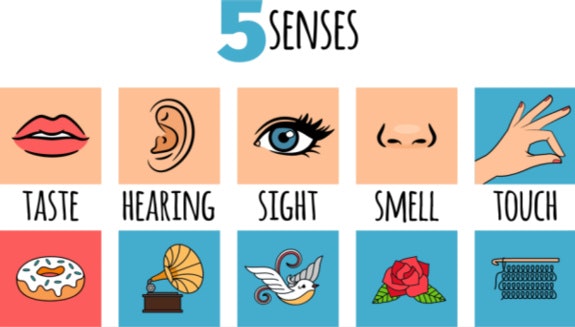 1660317512711 Herosenses