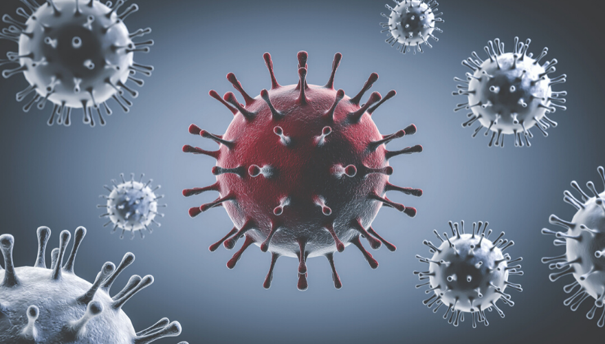 1660318297695 Herocovid