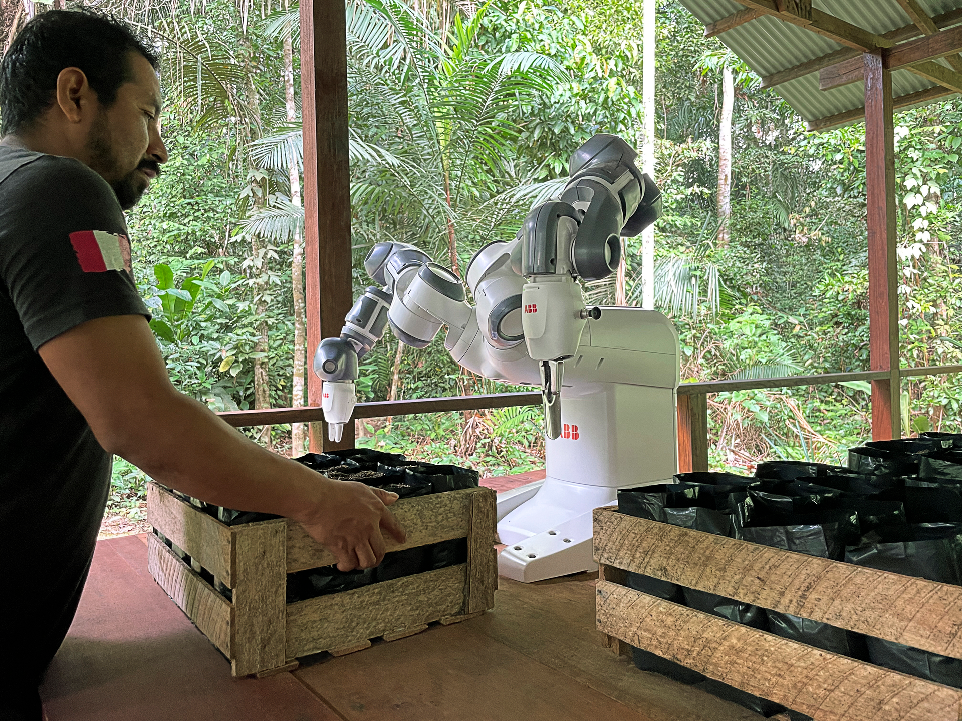 Abb Robotics Amazon Reforestation Pilot Yu Mi Takes On Repetitive Task To Free Up Junglekeeper Ranger To Undertake More Value Add Tasks 648b23353873d
