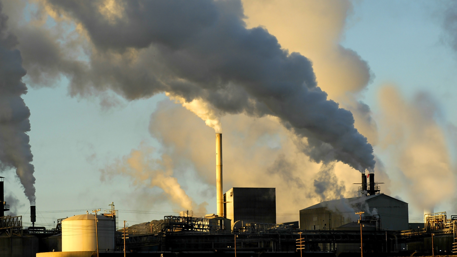 Dreamstime Xxl 1416920 64dd25f6e3257