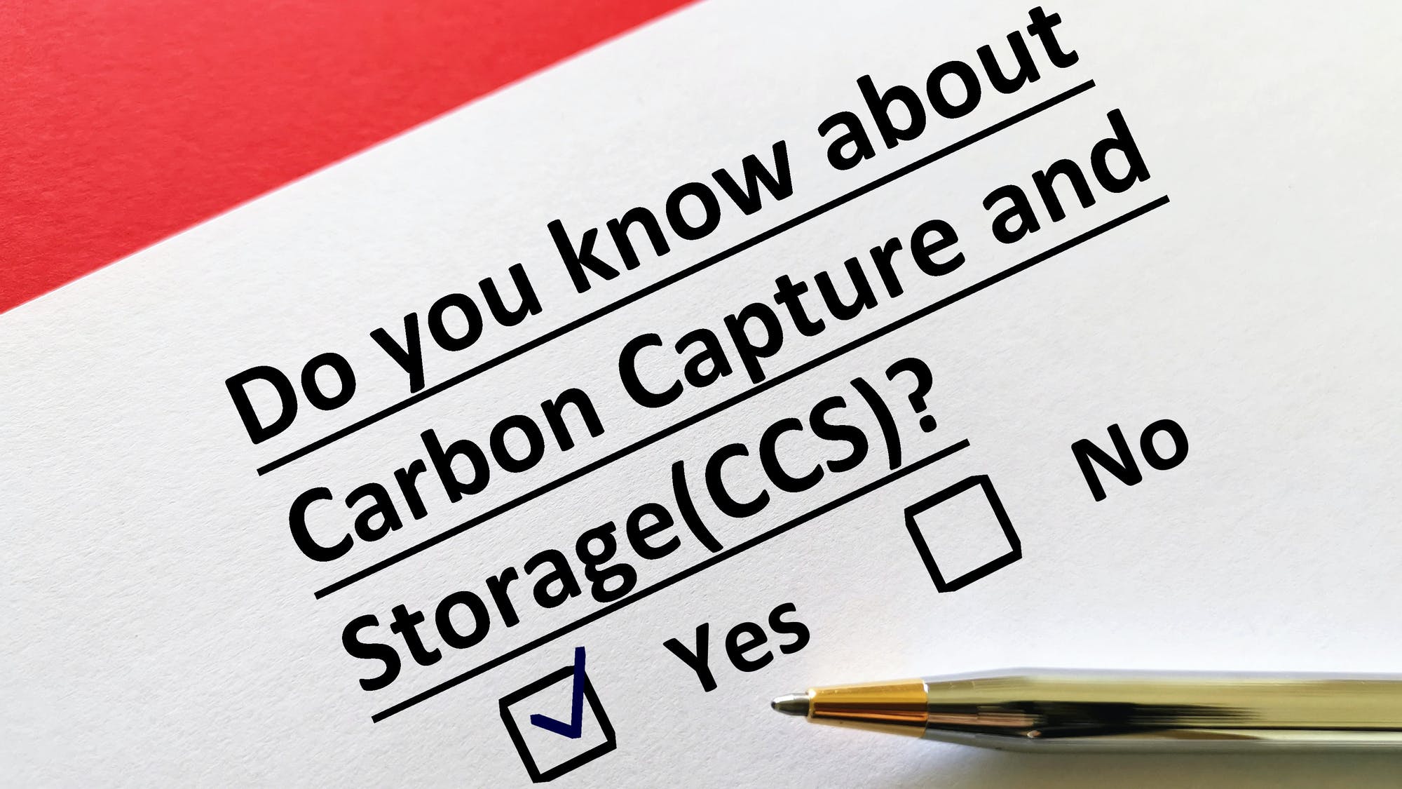 655ba3de5cd9d8001e1ca8c5 Dreamstime M 207715082