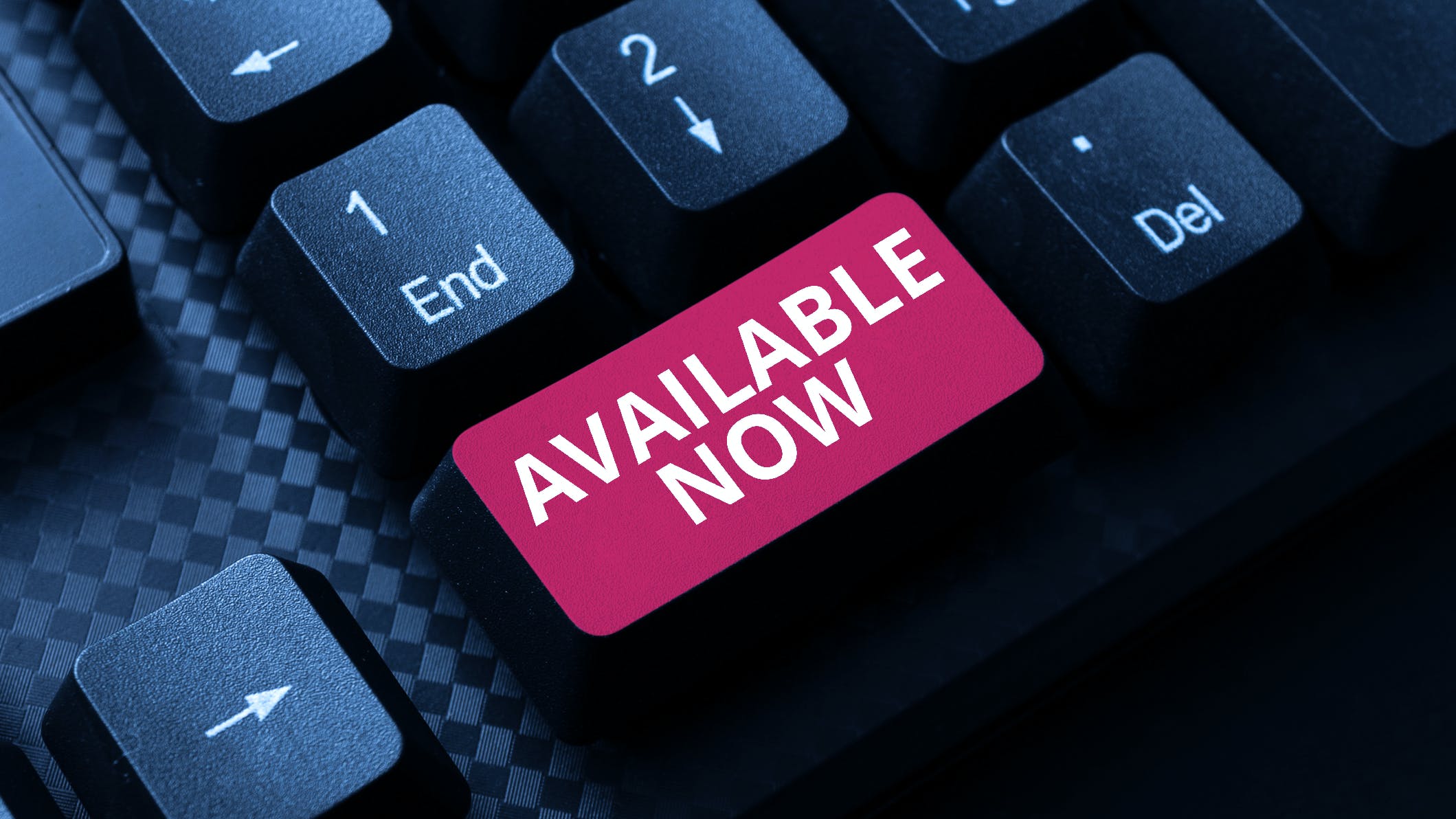 657cc8e8516728001d2acbf9 Dreamstime M 239030948