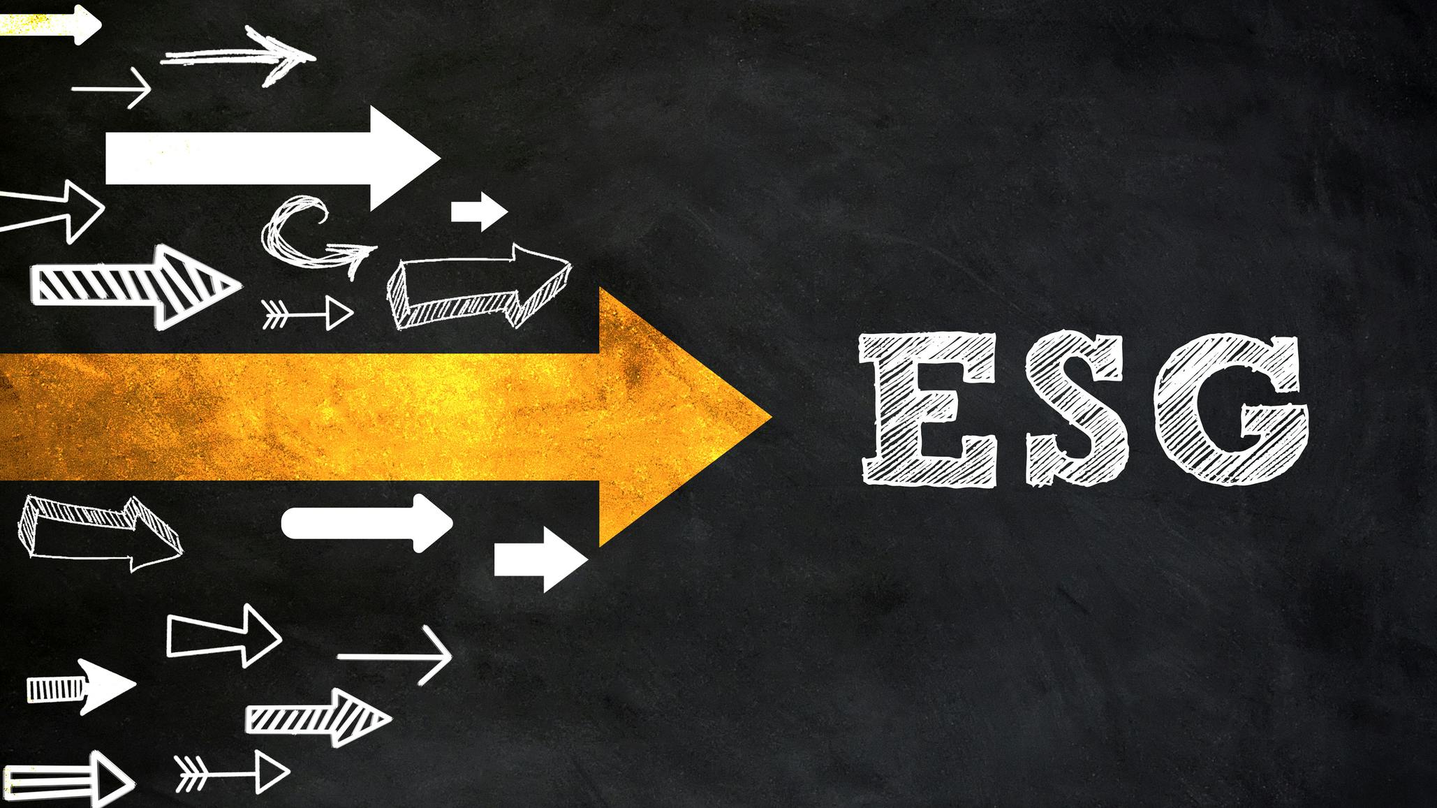 dreamstime_m_227863401