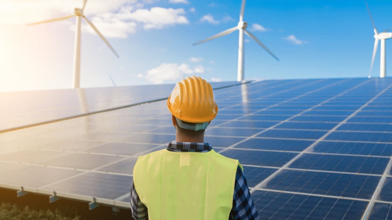 66561ab5b1ce9e6b9787b2c0 Ders Stock Shot From Shuttetstock