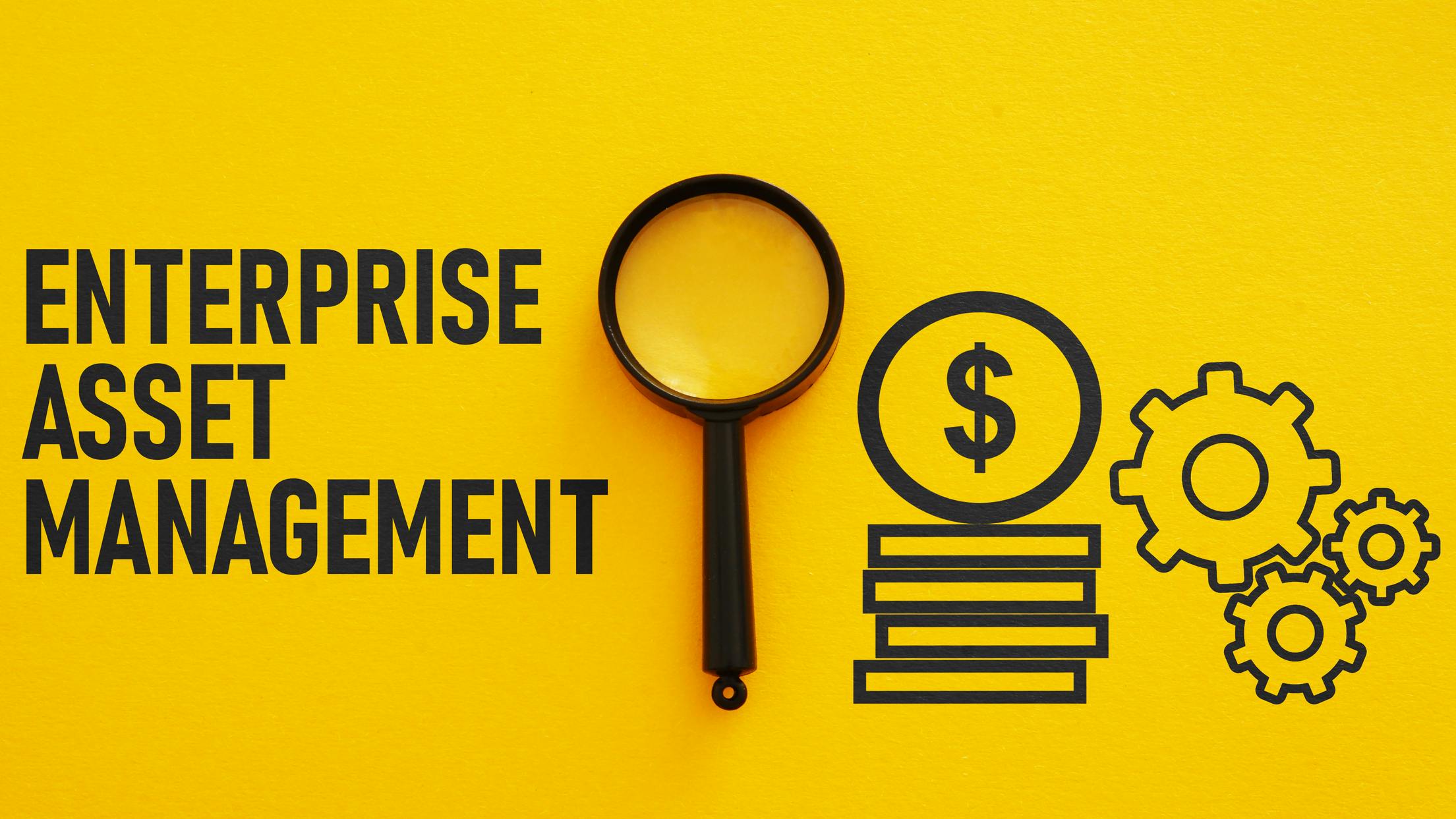 66a25be8739660865c4eb4d1 Dreamstime M 261787273