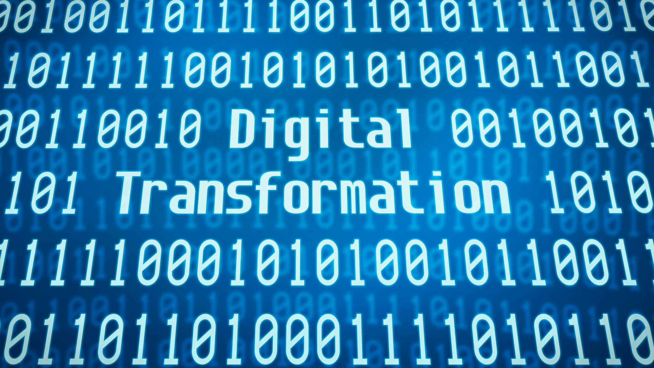 66be71eda5a999558c543a8e Dreamstime M 104480548 1