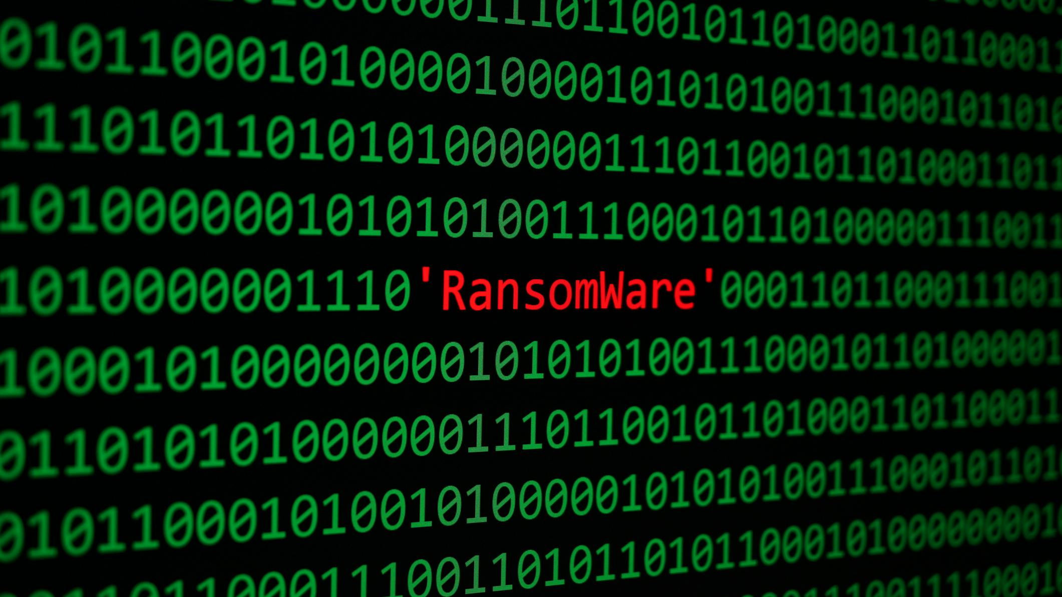 67c9e7d767fd1f693820abef Dreamstime M 92824317