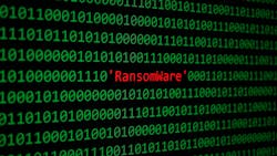 67c9e7d767fd1f693820abef Dreamstime M 92824317 67c9e7d767fd1f693820abef Dreamstime M 92824317