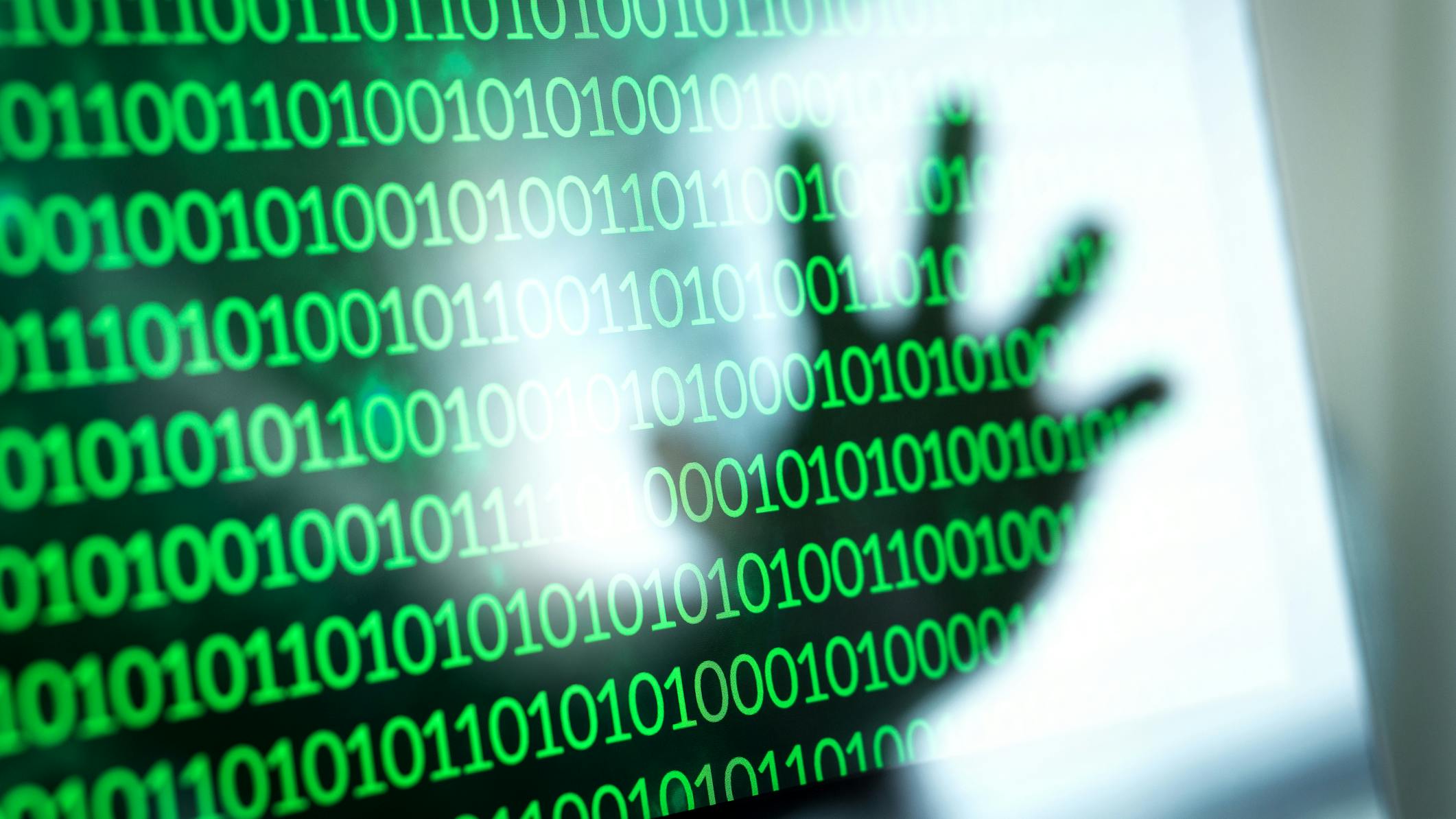 68499d1af12d58ebc9ba9634 Dreamstime M 103769515